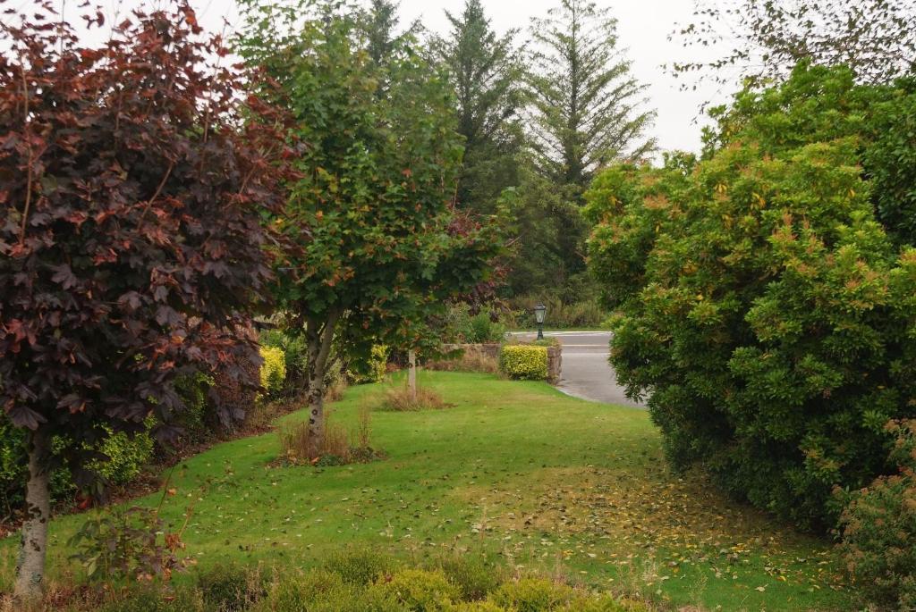 קיל איירן Gormans Country Home מראה חיצוני תמונה